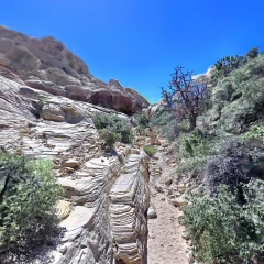 Calico Tanks Trail, Red Rock Canyon, Las Vegas NV (XGRIDS PortalCam)