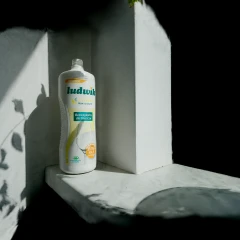 Ludwik