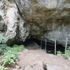 Vadu Crișului Cave