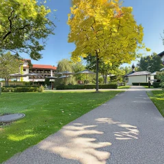 Courtyard Garden with Wooden Balconies