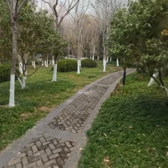 1230林间小路