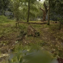 Stump