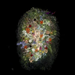 flowers unleash