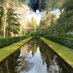 Reflection Pool at Bloedel Reserve