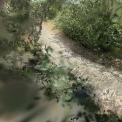 Duinenpad_Bredene