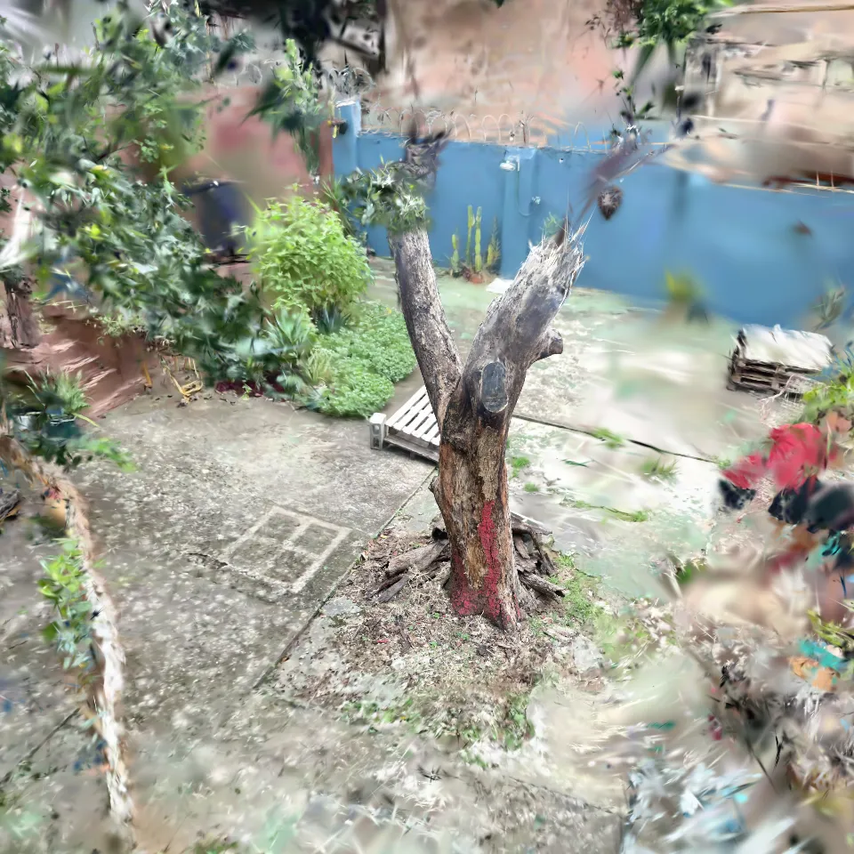 Quintal Fêmea Fábrica