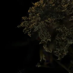 point_cloud_30000