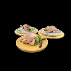 Roasted pigeon