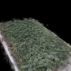 Crops Table