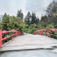 Bridge @ Kubota Garden - Rainier Beach, Seattle, WA
