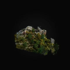 Shrubbery