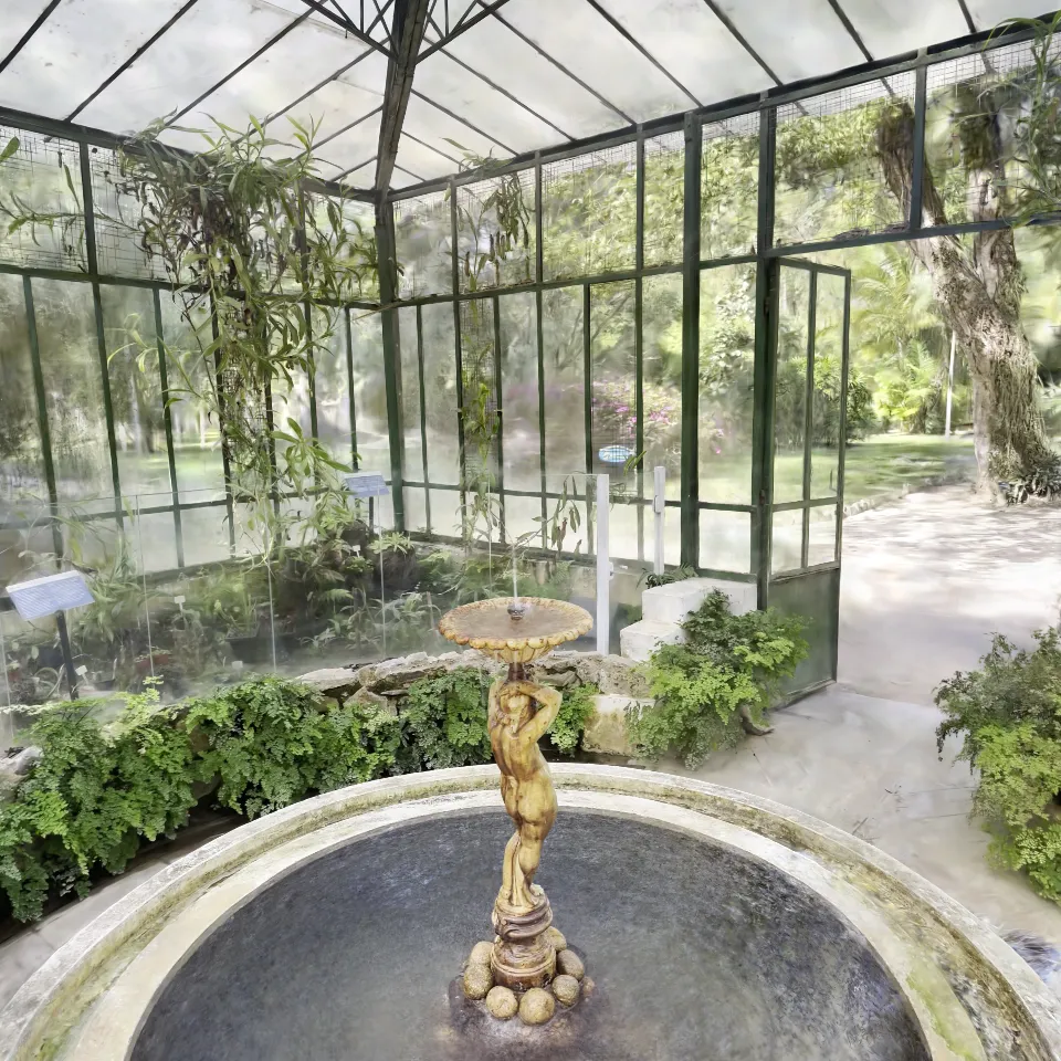 carnivoras - jardim botanico