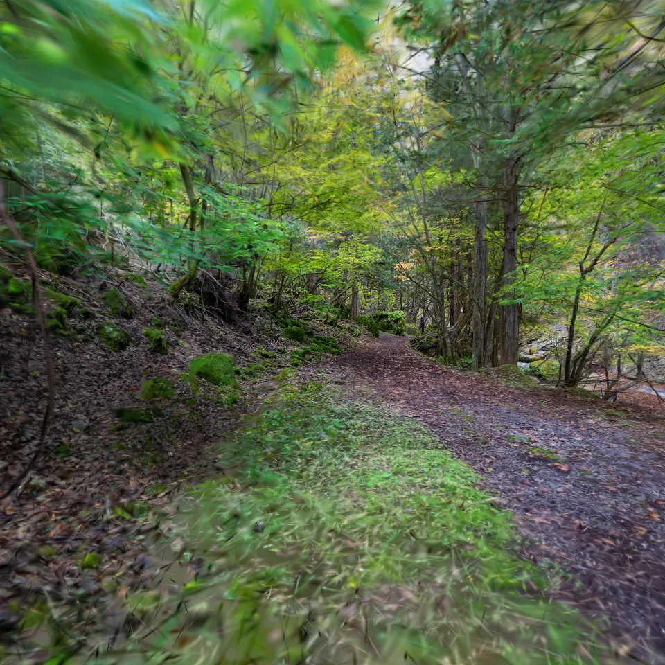 横谷峡の鷲岩(Washiiwa at Yokoya ravine)