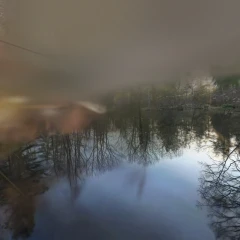 Pond!