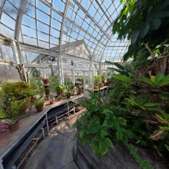The Greenhouse