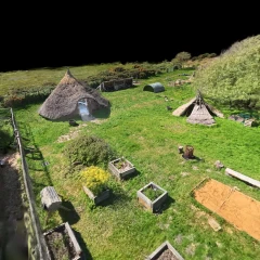 Thomas Flynn-Iron age roundhouse