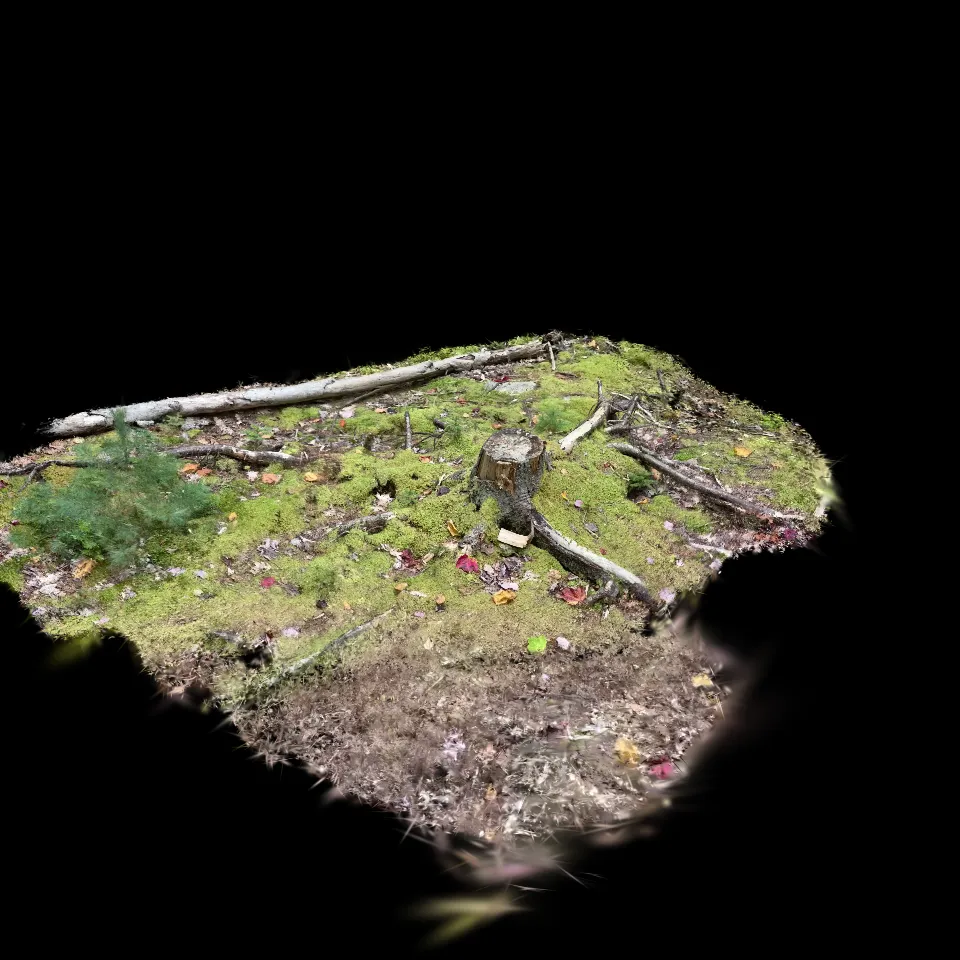 ForagerStumpCulledCompressed