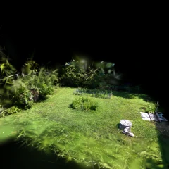 Backyard 5