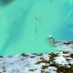 A SLICE OF PARADISE