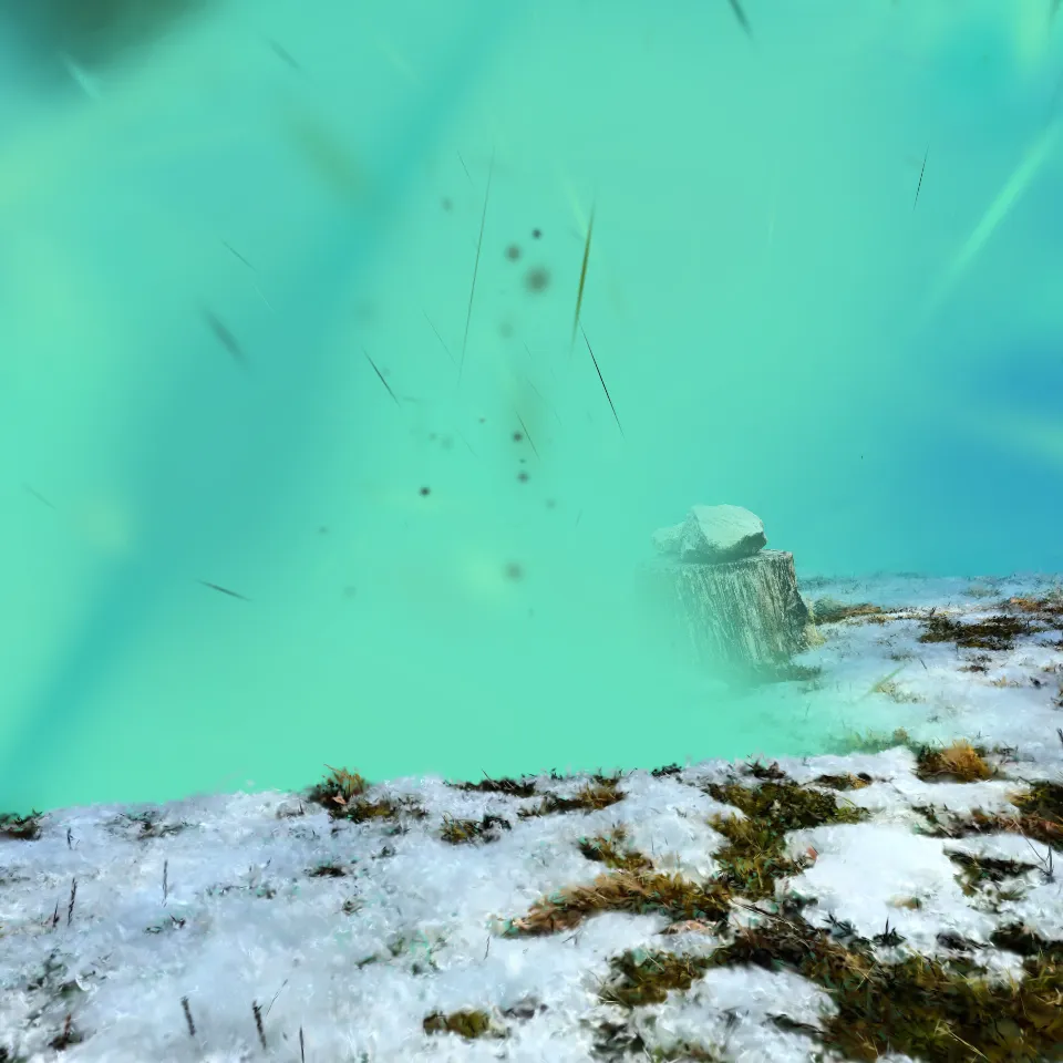 A SLICE OF PARADISE ?