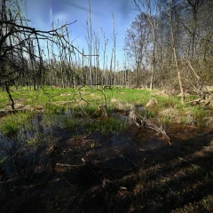 Fenner Nature Center - 2
