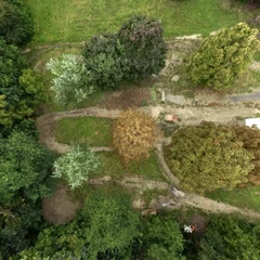 DirtPark - Vienna