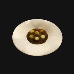 CGI Sea Rice — Gourmet Dish