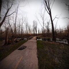 Scotts Woods - Bridge