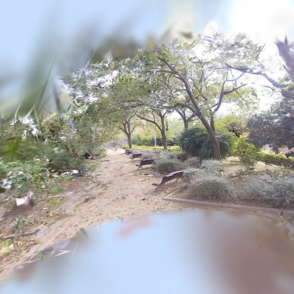 Paper benches, Oil trees