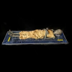 Mummy of an Elite Egyptian male