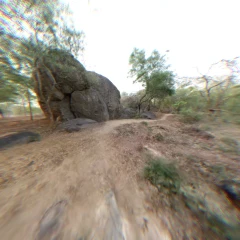 Boulders, Botanical Park. 