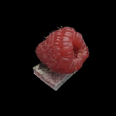 Raspberry