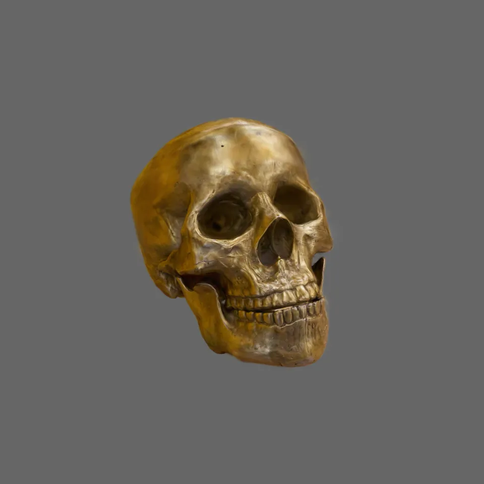 Skull