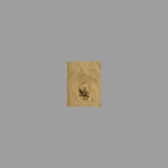 Model_30300_pa _LF