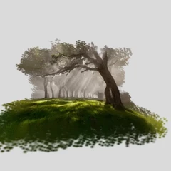 Foggy - La Réunion