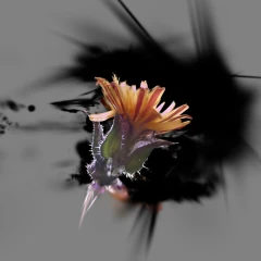 flower-3