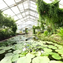 Bonn Botanical Gardens 08