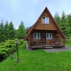 Wooden house