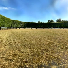 Rond Royal / Saint-Germain-en-Laye