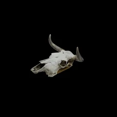Skull Optimized
