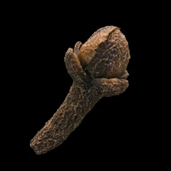 Clove