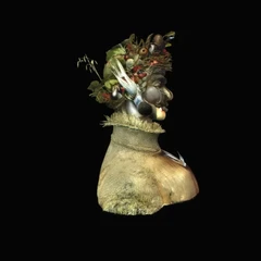 Arcimboldo person vegetable and fruits