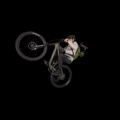 Wheelie