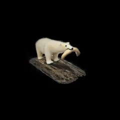 Bone Polar Bear