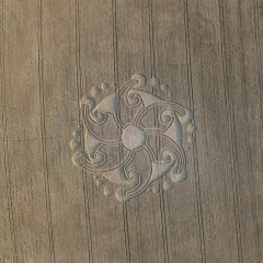 Lion's Gate Crop Circle