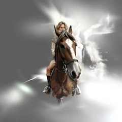 Horse Rider