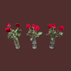 Roses 3X