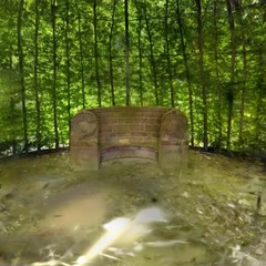 Bench In Amsterdam
