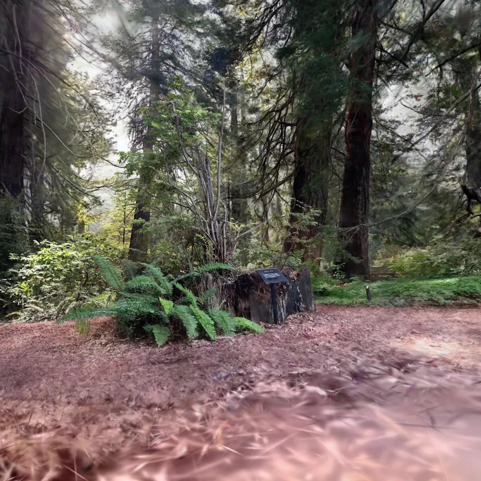 Redwood Grove at GGP