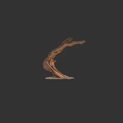 Driftwood_1
